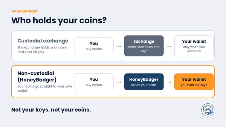 Comparison chart of HoneyBadger and Binance covering who holds your coins, where coins go, Canadian registration and payment options